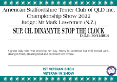 12.A. SUP. CH. DINAMYTE STOP THE CLOCK.png